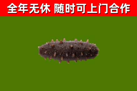 呼和浩特市烟酒回收干海参.jpg